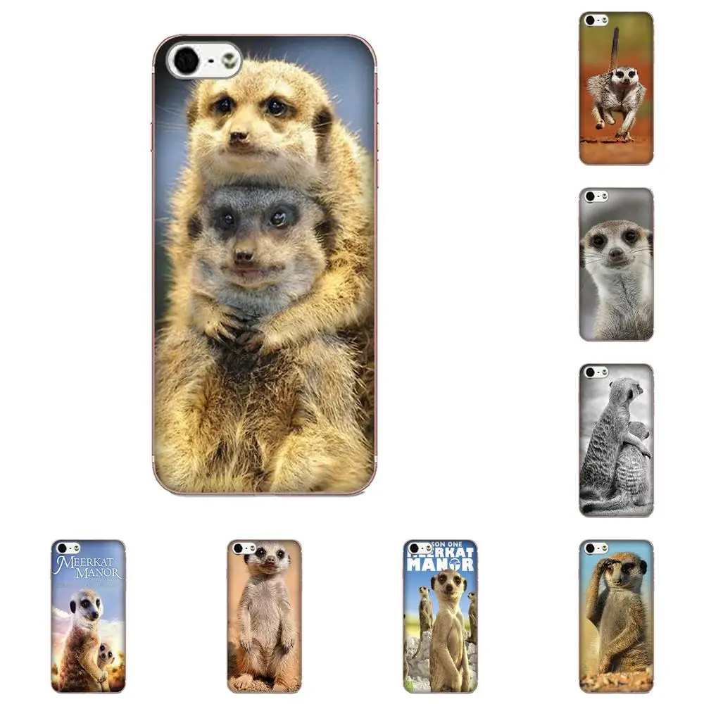 

For Huawei P7 Honor 4C 5A 5C 5X 6 6C 6A 6X 7 7X 8 9 V8 V10 Y3II Y5II Y6II G8 Play Lite TPU Mobile Phone Case Cover Meerkat Manor