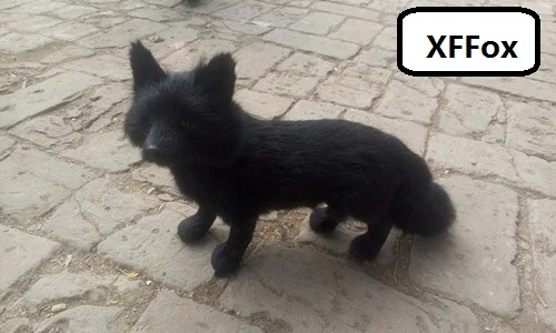 

creative real life standing fox model plastic&furs simulation black fox doll gift about 35x23cm xf1782