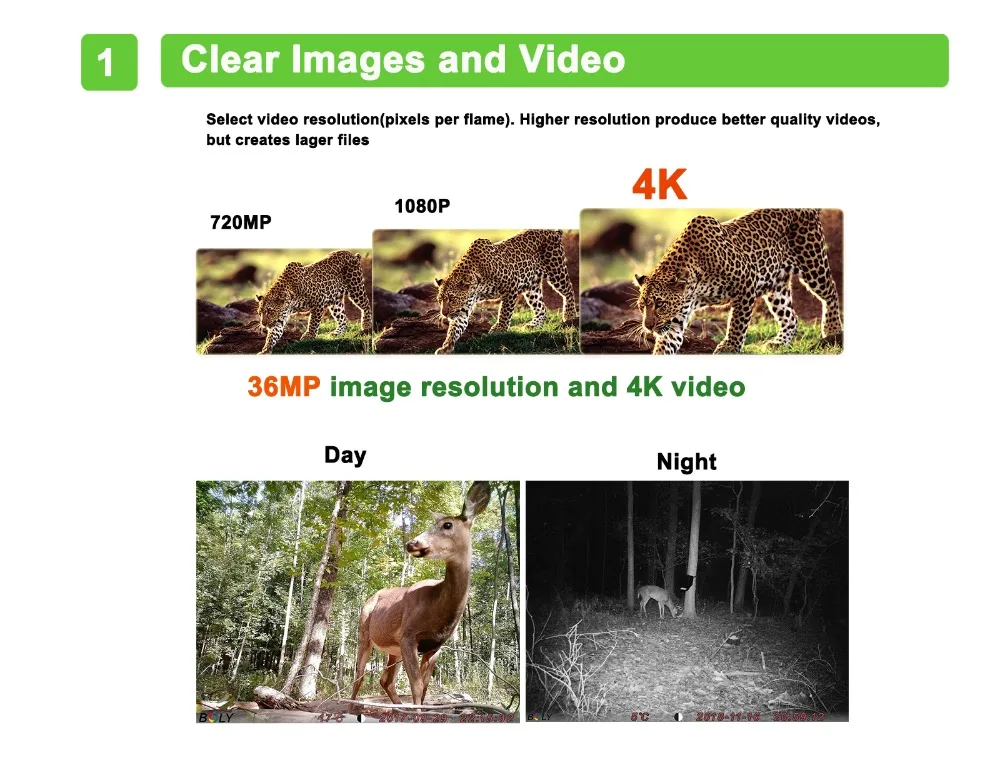BG668-A30WG&nbsp;-0325_05