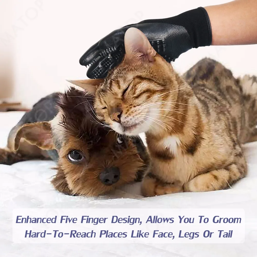 Pet Glove (9)