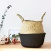 Garden Supplies