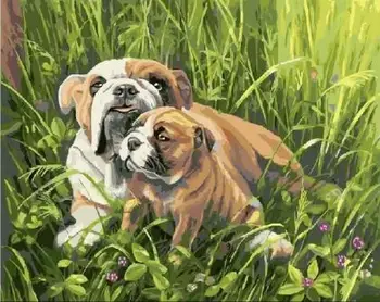 

English Bulldogs DIY Oil Painting by Numbers on Canvas with Frame Coloring by Numbers Pictures Drawing Home Decor