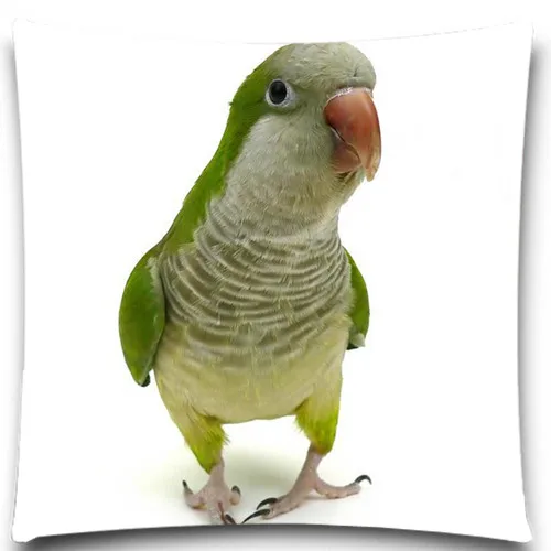 Два Белый попугай головок и головок 2D печати творческий наволочка квадрат хлопок полиэстер чехлы Размер 5 9 стиль - Цвет: 9