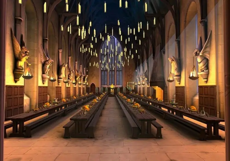 

Harry Magic school hogwarts castle dinner happy birthday baby child photo background photography backdrops quality vinyl