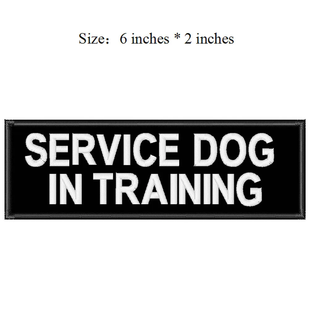SERVICE DOG IN TRAINING -3