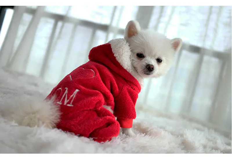 jacket for dogs winte