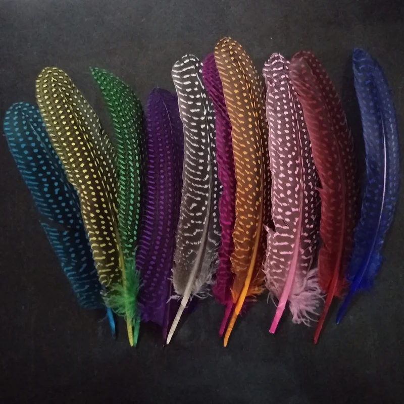 xuezhiyu 50pcs 15 20cm 6 8inch Colors Pheasant Feathers Cheap Spots