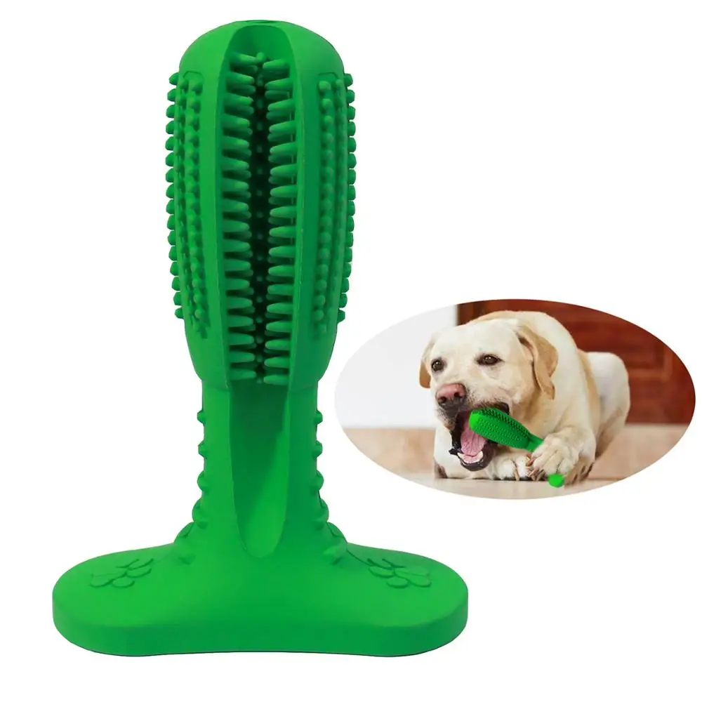 amazon-effective-cleaning-dog-tooth-brush-stick (5)