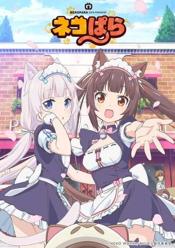 又要吸猫啦!《巧克力与香子兰》TV动画化決定!特报影像公开 ACG综合 八卦杂谈 |趣动漫 又要吸猫啦!《巧克力与香子兰》TV动画化決定!特报影像公开- 趣动漫