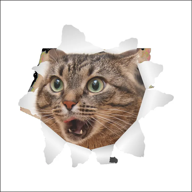 HTB1TtgkX5LrK1Rjy1zdq6ynnpXaX