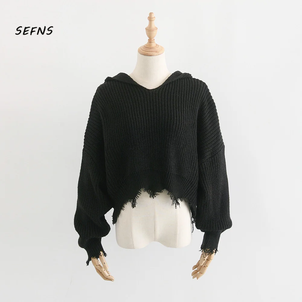 

SEFNS crop sweater sweaters fashion 2018 women winter tops for women sweaters and pullovers streetwear white top