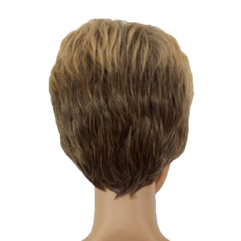 HAIRJOY Male Synthetic Ombre Hair Brown Mixed Short Straight Layered Natrural Wig Man High Temperature Fiber Wigs Free Shipping