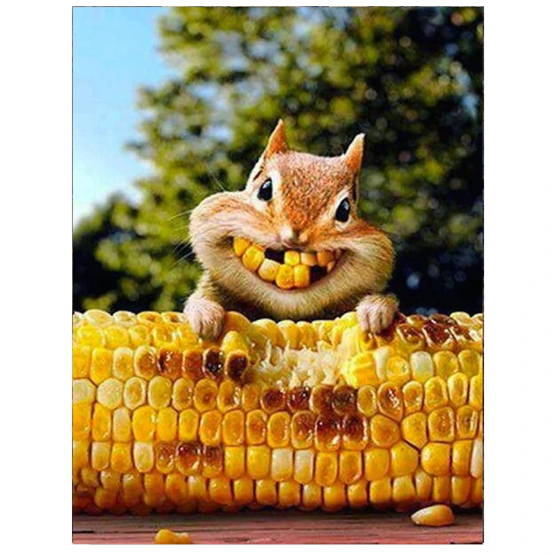 

full square/round diamond mosaic Chipmunks corn,diamond Painting funny animal full display Embroidery Rhinestones of Pictures