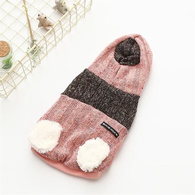 dog winter clothes (3)
