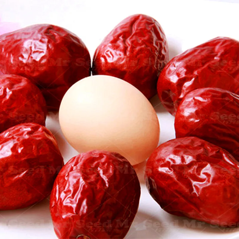 

Hot Selling 10pcs/bag Giant Hetian Jujube Bonsai Plant Sweet Health Fruit Tree Plant Fruit Tree Bonsai Plant DIY Home Garden