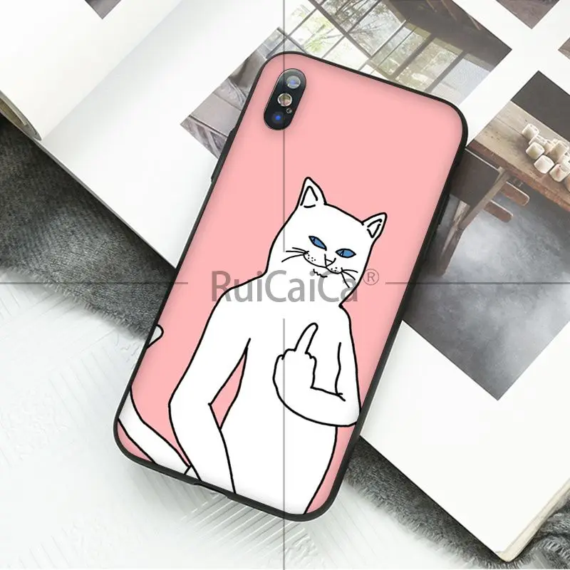 Art middle finger cat
