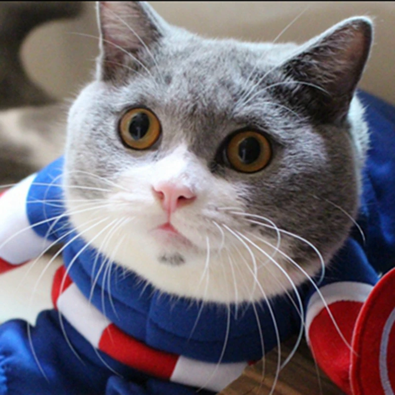 Marvel Мстители! Для питомцев зимний теплый куртка костюм кошки модель Captain America