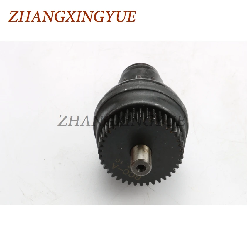 zhang28