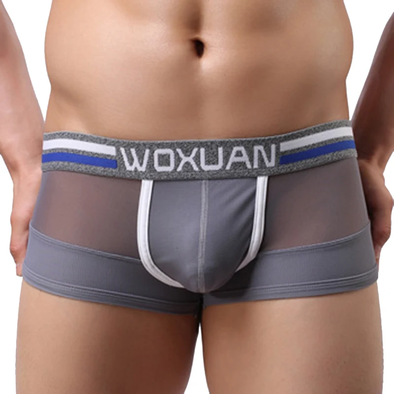 WOXUAN Brand Fashion Brand Men Sexy Mesh Transparent Pouch Boxers Shorts Panties Underwear