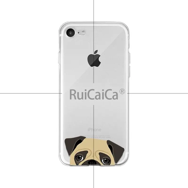 Cute and funny pet dog cat head