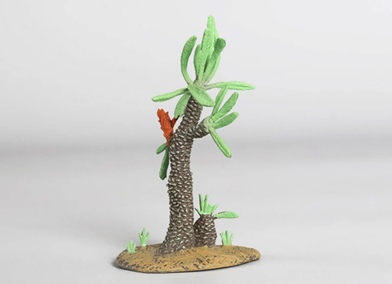 Ancient cycad tree