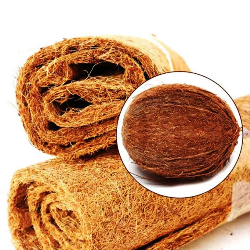 Brown 2pcs fibra di cocco naturale Mats Premium Rettile tappeto per Pet Lizard Snake Chamelon tartaruga Bedding Bunny Coniglio Mat Cortile ornamento Brown 2pcs fibra di cocco naturale Mats Premium Rettile tappeto per Pet Lizard Snake Chamelon tartaruga Bedding Bunny Coniglio Mat Cortile ornamento