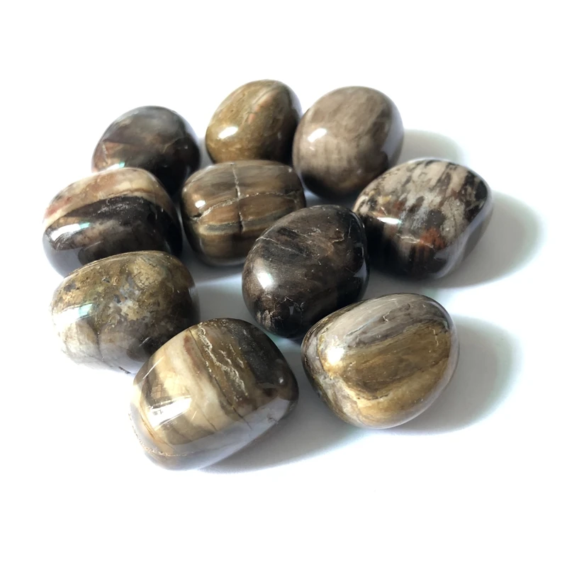 

Grade A Petrified Wood Fossill Beads Crystal Tumble Stone App1" Natural Gift Healing Crystals Stone 10pcs/lot