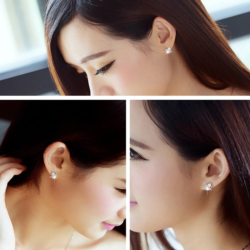 Stud-Earrings-for-women-silver-925-Fine-jewelry-Cute-Dolphin-Animal-shape-Zircon-Christmas-Gift-Party (4)
