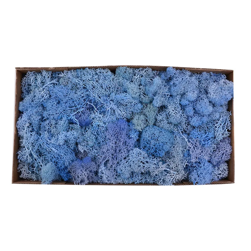 Красивые 500 г/кор. цветы из мха, долго сохраняющиеся сушеные цветы для рукоделия, домашний декор для свадебной вечеринки XH8Z JA11 - Цвет: Light blue