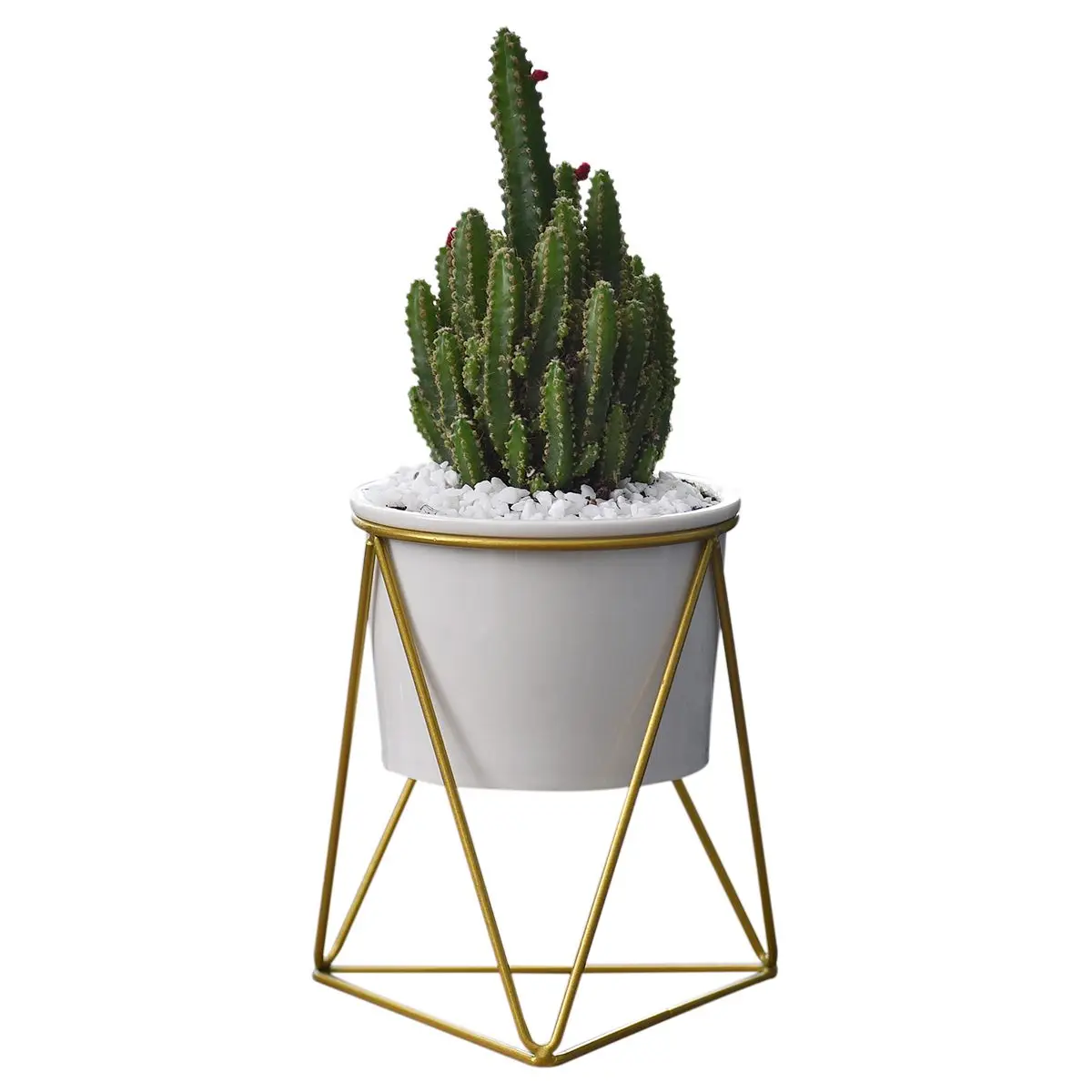 

IALJ Top Planter Pots Indoor 6 inch Modern Garden Ceramic Round Bowl with Metal Air Plant Stand for Succulent Planter Cactus (