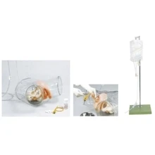 Медицинская подготовка minikin стиль Старший прозрачный мужской женский модель электронная модель прозрачная модель flaux кожи