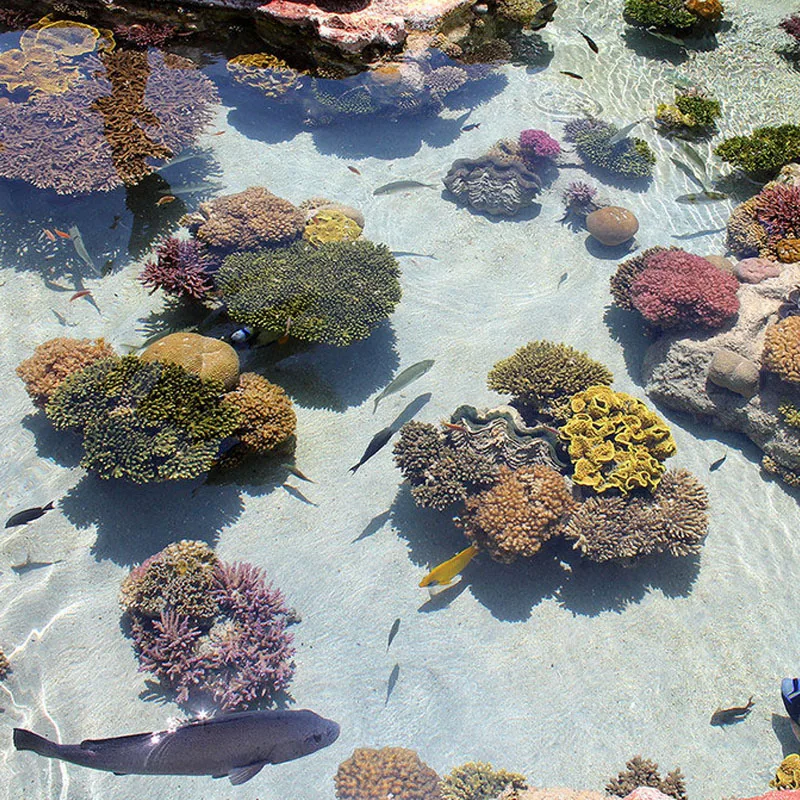 Mural 3D autoadhesivo de suelo Coral y peces tropicales MURALES 3D DE SUELO