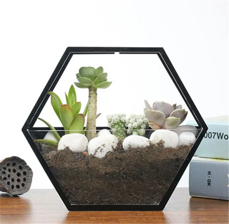 hexagon wall hanging glass vase,wall glass fish tank,wall decor,home decorhouse ornamentgreen gifts for her (3)