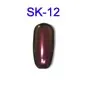 SK-12