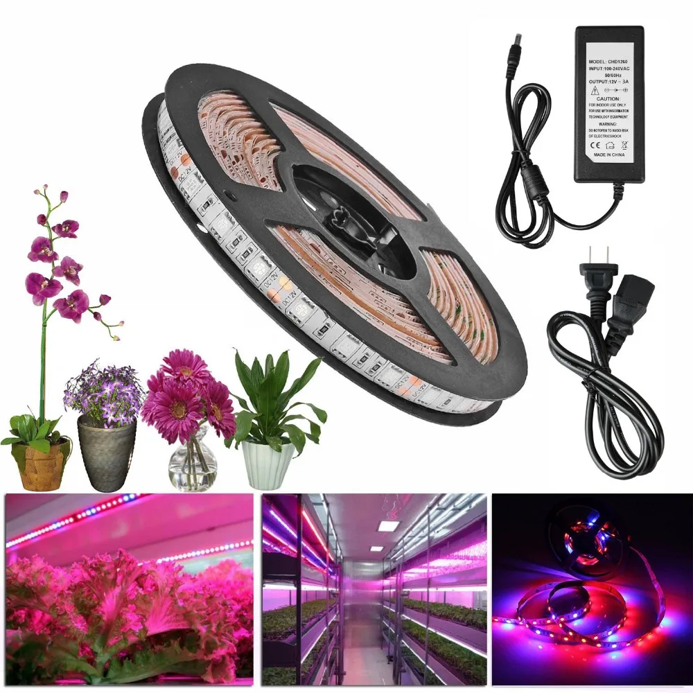Leg grow light strip join Assured, Leg grow light strip remarkable