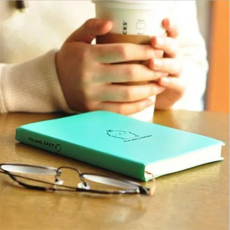 10 шт. molan Rabbit 2016 2017 милый ежедневник ГОД ПЛАНИРОВЩИК Карманный журнал Kawaii записная