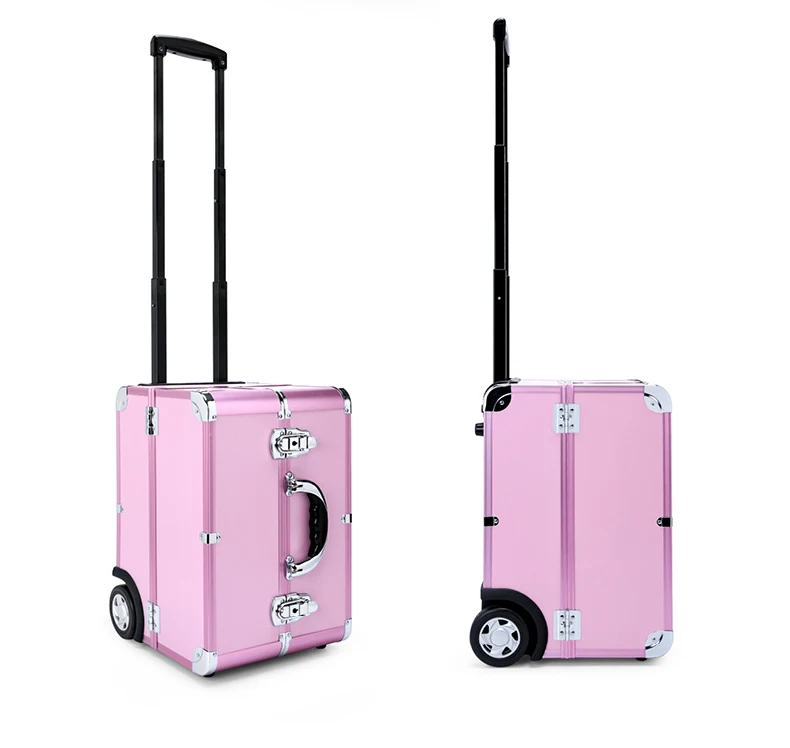 case (2)