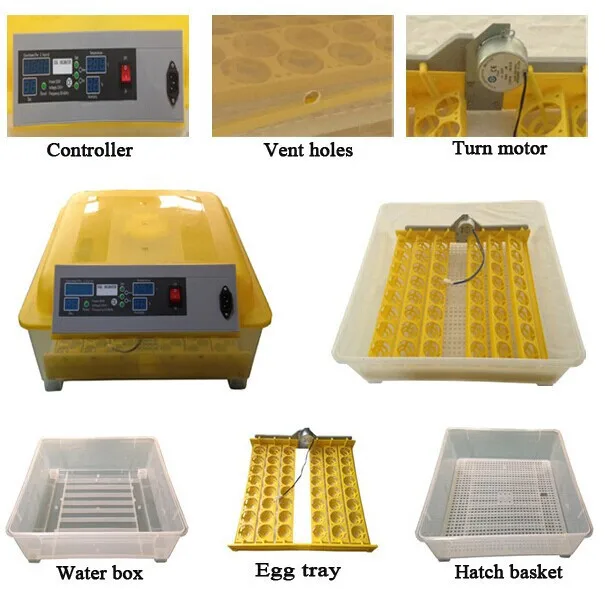 48 egg incubator