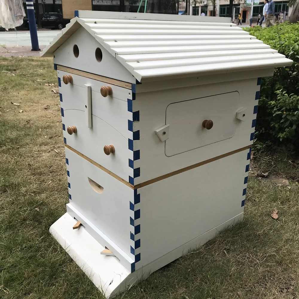 

Smart automatic white painted wooden beehive honey flow hive with 7 pcs flow frames kits