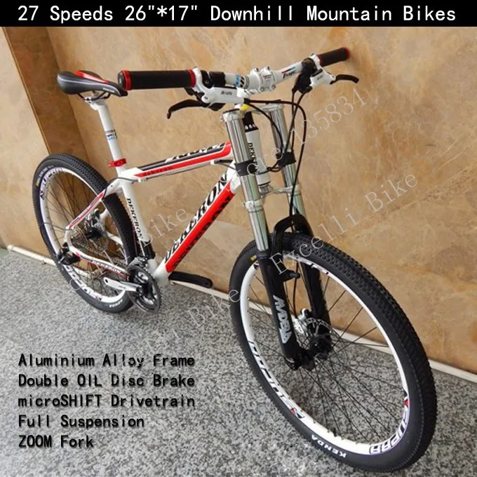 double fork bike