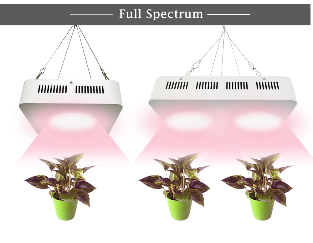 COB светодиодный Grow светильник 100 Вт 200 полный спектр завод светильник плантационных палаток комнатные растения растут культивирование на гидропонике цветок лампа для выращивания