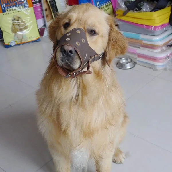 Кожаная собачья намордница размера M Регулируемая собачья намордница для предотвращения укуса собачья маска для рта AA