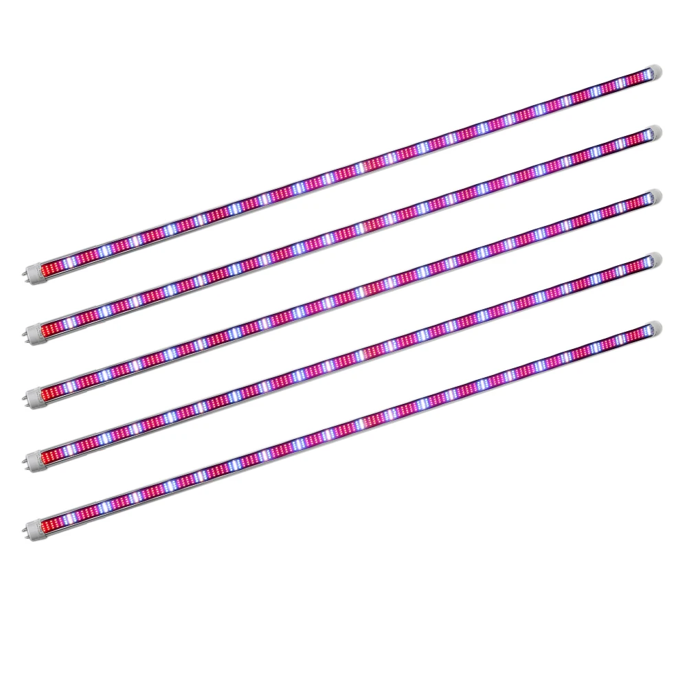 5pcs