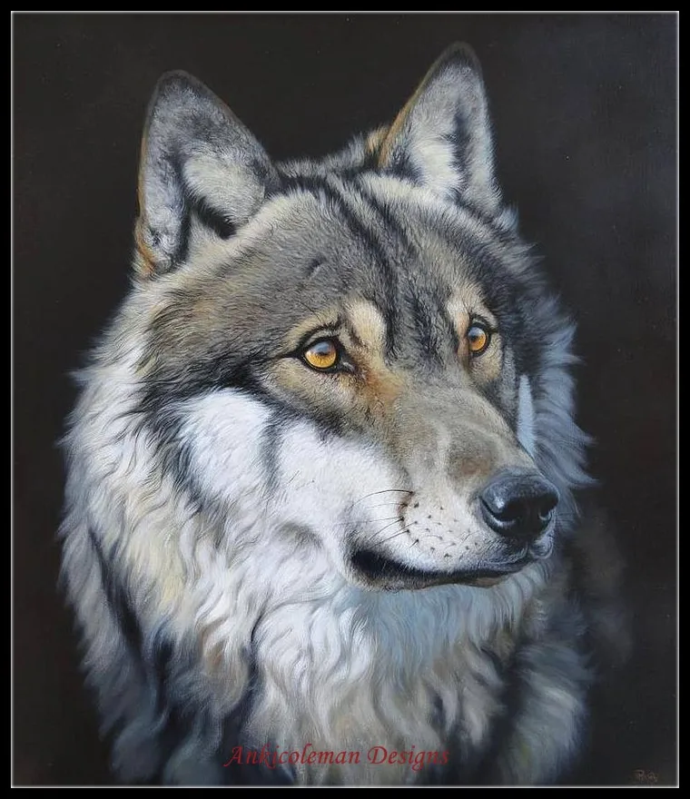 Цветные картинки волка. Волк. Красивый волк. Волк живопись. Картина волки.