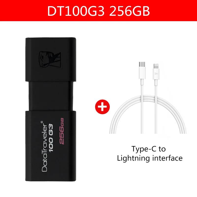 Kingston DataTraveler 100 G3 USB флеш-накопители 1256 ГБ USB 3,0 флеш-накопитель высокоскоростные флешки DT100G3 256 ГБ - Цвет: 256GB-ZM-06