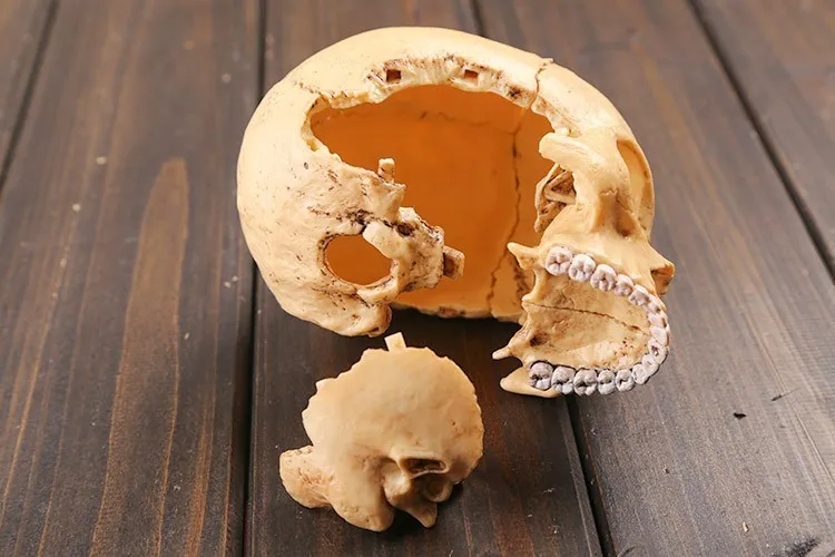 4D master human skull модель 17 шт Набор собранная Анатомия человека мерная модель