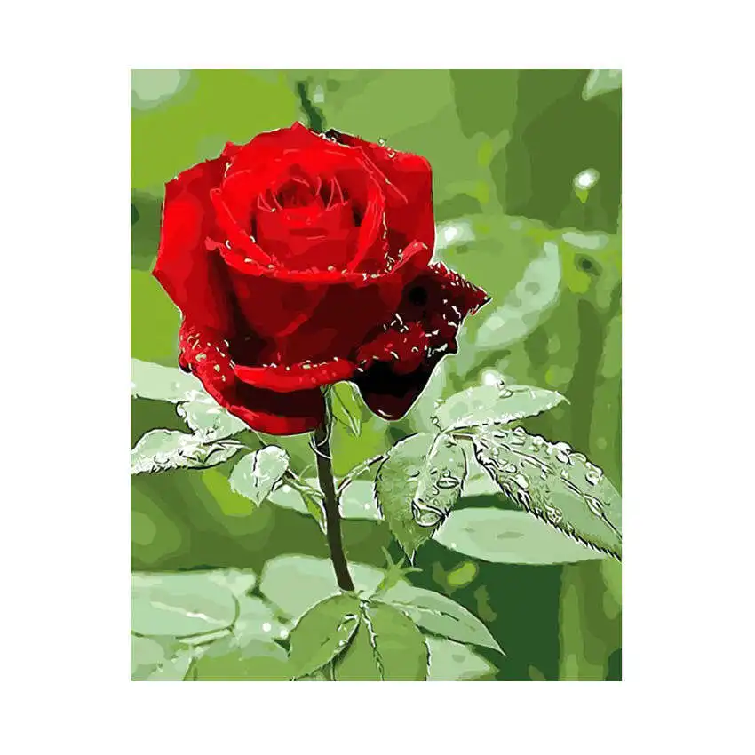 

Modern Style Diy Oil Painting By Numbers Wall Art,Painting By Numbers Rose Flower For Living Room Decor