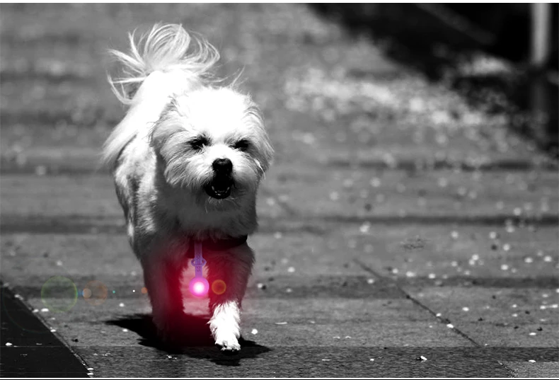 Clearance ROCKBROS Night Running Lights MTB Road Bicycle LED Flashlight Rainproof Cycling Bike Warning Tail Light Pants Clip Belt Light 23 Clearance ROCKBROS Night Running Lights MTB Road Bicycle LED Flashlight Rainproof Cycling Bike Warning Tail Light Pants Clip Belt Light 23