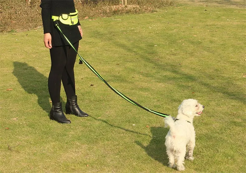 Handfree Bungee Dog Leash (5)