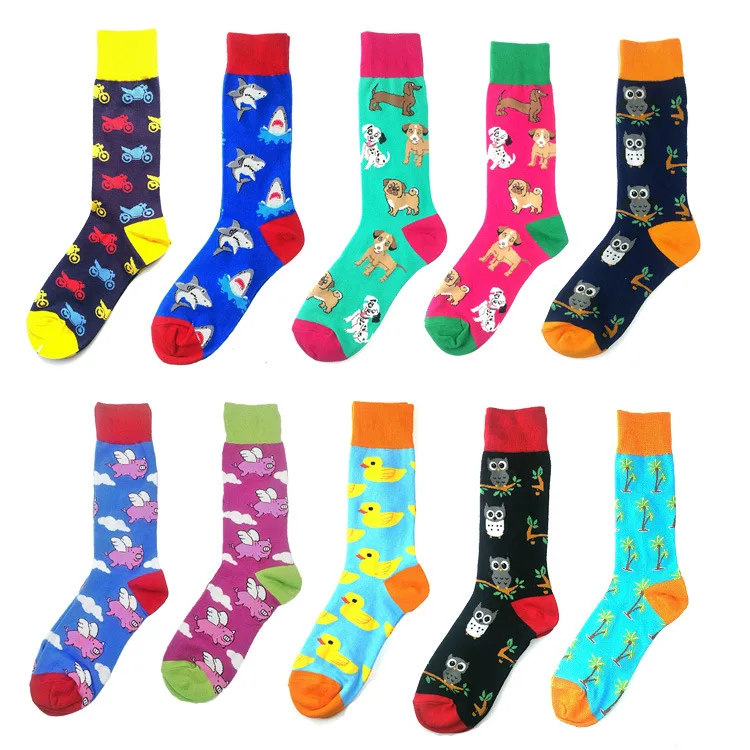 10536868151_54730976